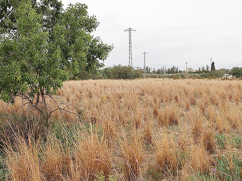 Foto db7f24df-9da5-4d76-a8a6-c338ed29cc04. Rural plot in Ulldecona