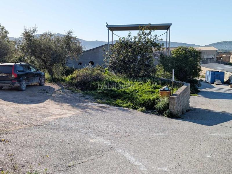 Foto f728d14b-1100-445d-9a37-e08809ccc004. Capannone industriale in la senia 1 in Ulldecona