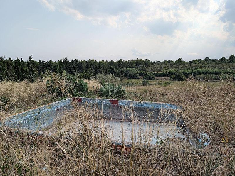 Foto af2d7686-874d-46eb-b485-42b56cd9bd63. Bauernhof in horta dels plans 51-100 in Sénia (La)