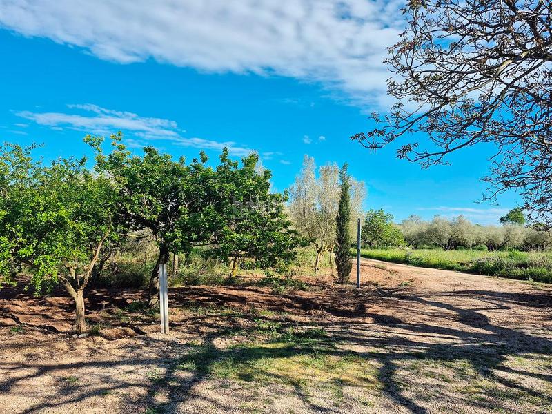 Foto 45abcb59-1a75-4426-aebc-bc301a55ce6b. Casale in foites (foietes) in Ulldecona