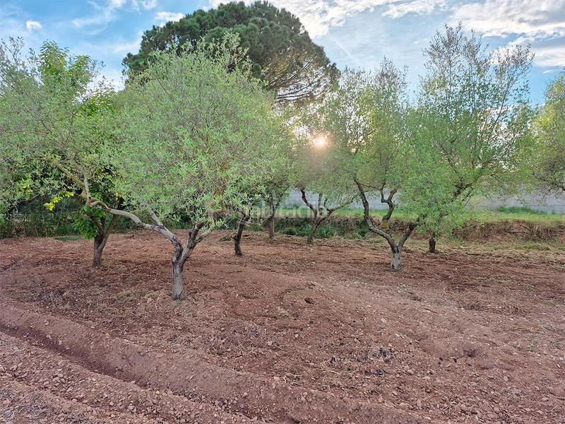 Foto 9661c666-422d-4b64-be2c-3c24c18a3488. Casale in foites (foietes) in Ulldecona