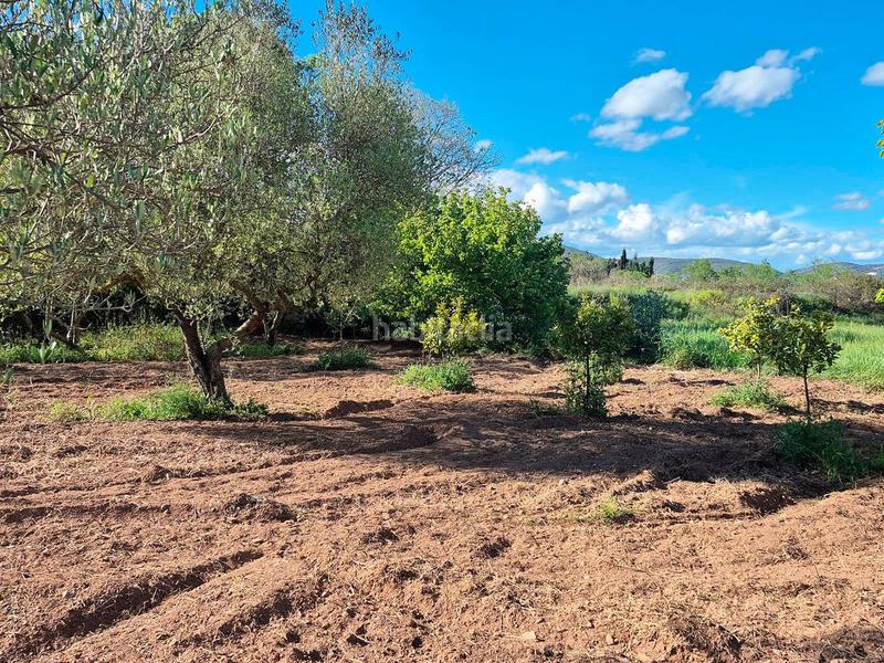 Foto ba765b1b-60d5-42a8-a14b-7676df98850a. Casale in foites (foietes) in Ulldecona