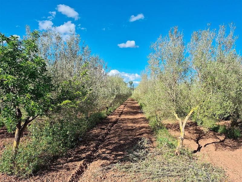 Foto de65f048-a899-45e4-a70b-313762d80990. Casale in foites (foietes) in Ulldecona