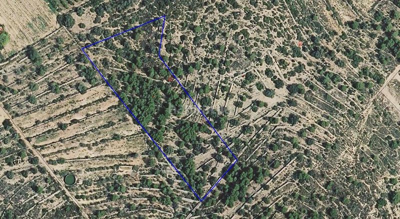 Foto 4a9ba4e3-53d6-43d0-a1a9-63a0dceadf9a. Finca rústica a coll de'n pique a Ulldecona