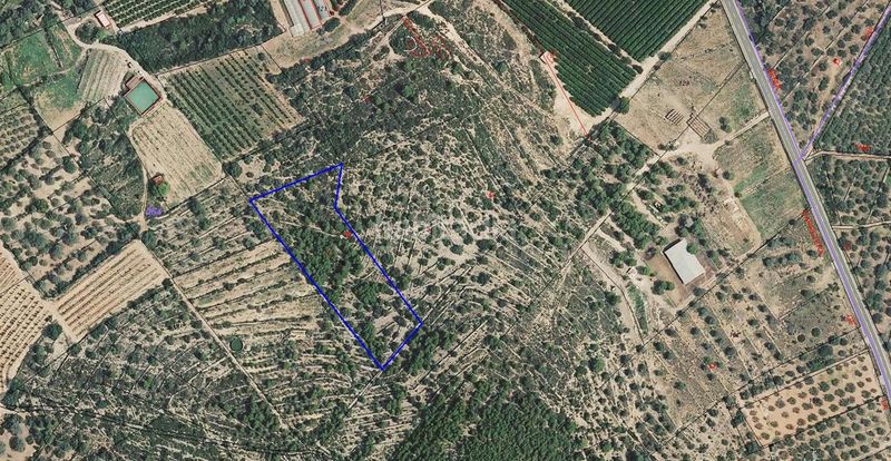 Foto cd270eb5-a98c-4d90-9538-ea2a59dac987. Finca rústica a coll de'n pique a Ulldecona