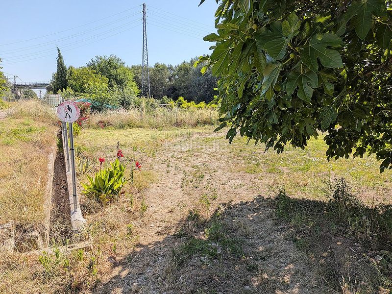 Foto 43301f16-71b1-4238-9247-706c0f5d6ff2. Finca rústica a Ulldecona