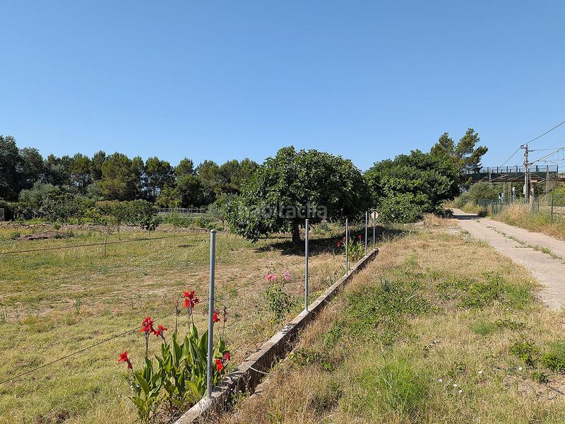 Foto 631d2cf0-125b-4a91-b06d-91e246e8aa56. Finca rústica a Ulldecona