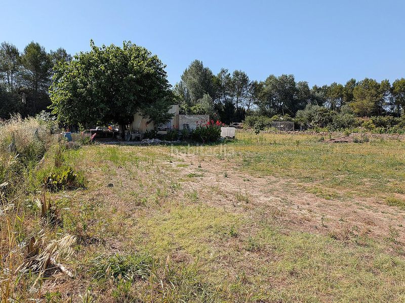 Foto 830cf979-cd94-4614-91cc-c7bafc4c727d. Finca rústica a Ulldecona