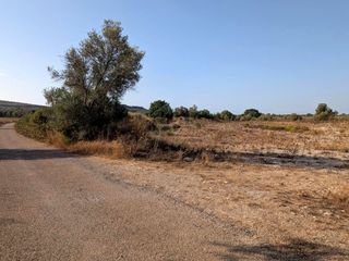 Finca rústica a El Pou Joa