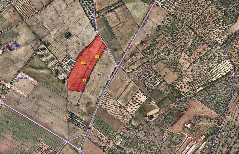 Foto 078f1d35-df33-4d84-a0c1-509cec9c7bad. Finca rústica a el pou joa a Ulldecona