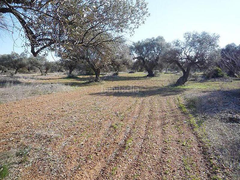 Foto 2c2b0c57-8ff1-4a53-be2f-e2e7c3495be7. Mas dans n/a dans Traiguera