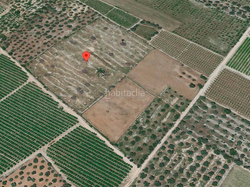 Foto e90e0692-e9d8-4c3e-9fe9-38078072f85f. Mas dans n/a dans Traiguera