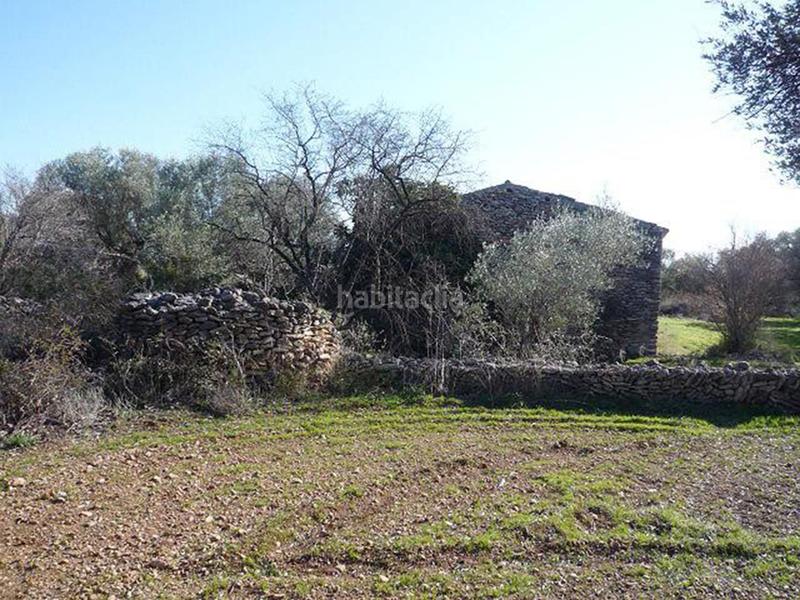 Foto f8ce6cd5-fcc9-4434-ab3e-3bd160ee7a80. Mas dans n/a dans Traiguera