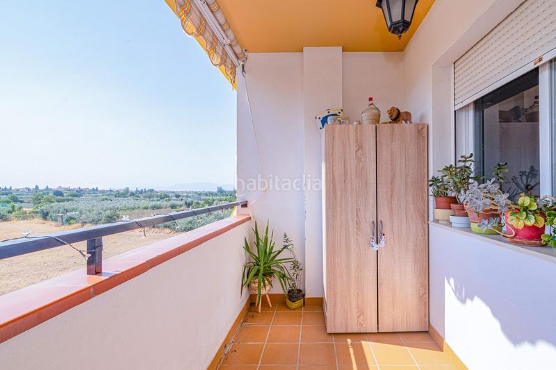 Foto a7a07651-d91a-47f5-932b-20e2831c32e6. Piso  en la zubia en La Zubia Ciudad Zubia (La)
