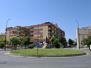 Pis  Calle félix rodríguez de la fuente. Piso en el zaidin