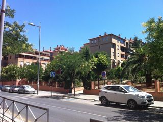Miete Etagenwohnung  Avenida avenida pulianas. Piso en alquiler para chicas  avenida de pulianas