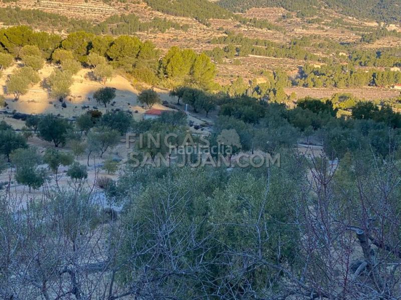 Foto 711dfd35-bd07-4ce3-9182-8cda0aa09a93. Casale in Torre de les Maçanes (la)