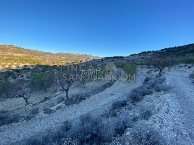 Foto 746a30c0-0593-4e64-ad47-9340e53102a0. Casale in Torre de les Maçanes (la)