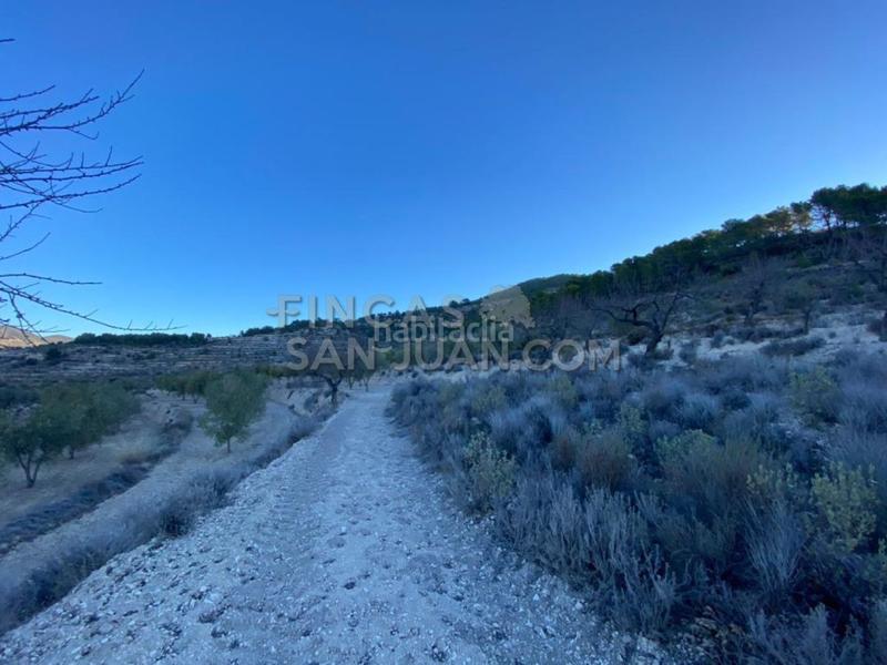 Foto 980d07e0-1084-4860-99ad-36c51cb5112b. Casale in Torre de les Maçanes (la)
