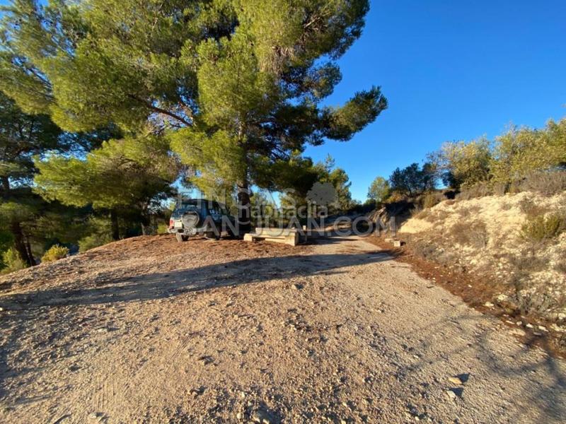 Foto a294837e-6397-4235-9b2f-71125649cc8f. Casale in Torre de les Maçanes (la)
