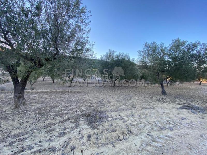 Foto a3d7ebc0-3f7e-4e81-92d1-81aad24d97a0. Casale in Torre de les Maçanes (la)