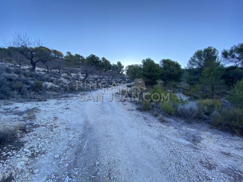 Foto a8d5ca80-be22-409c-8c71-3b05f9ff0e63. Casale in Torre de les Maçanes (la)
