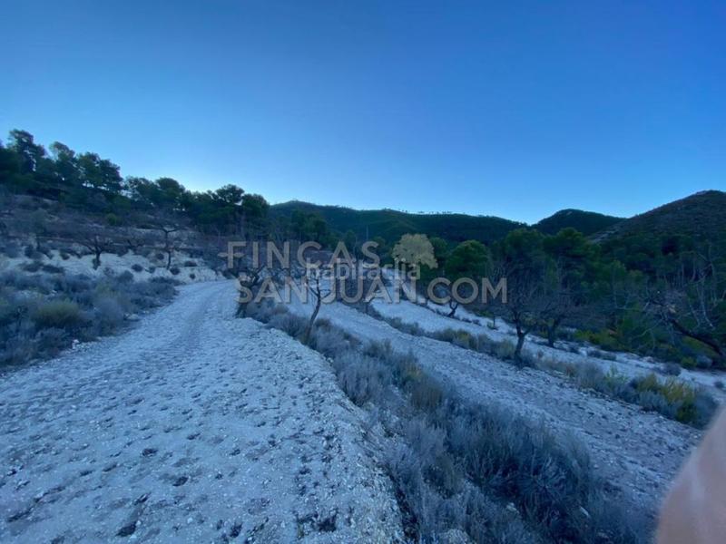 Foto bce2d700-4543-437c-a3a1-3132440c1715. Casale in Torre de les Maçanes (la)