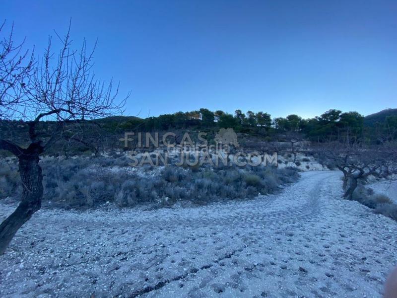 Foto c0a21229-e68b-4fae-a505-e12dcd3bd1ea. Casale in Torre de les Maçanes (la)