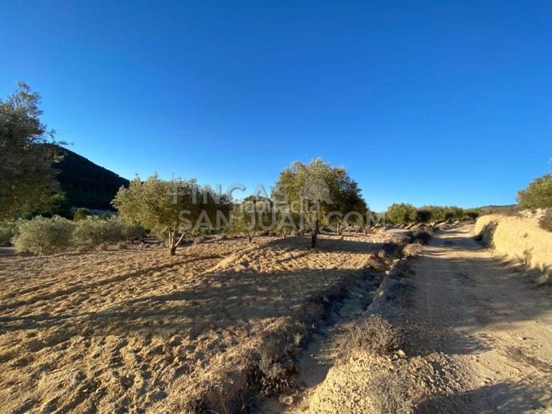 Foto c68661b1-6675-45d7-a18c-c4262ff24c6c. Casale in Torre de les Maçanes (la)