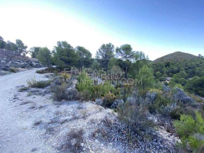 Foto d24a5228-41a2-43b9-ab87-1f19069b006e. Casale in Torre de les Maçanes (la)