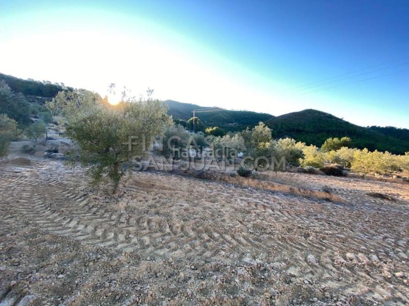 Foto d8f3920f-e1cb-49f6-9900-c73a3fc5050d. Casale in Torre de les Maçanes (la)