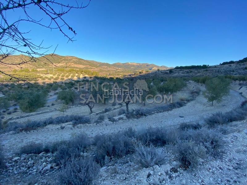 Foto f23a1c2b-2e6f-4742-bf1a-d5e6d9ef1994. Casale in Torre de les Maçanes (la)