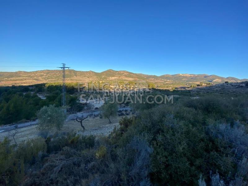 Foto f6c72037-1d37-4851-85ec-d20c97282e16. Casale in Torre de les Maçanes (la)