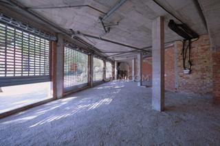 Business premise in Centro