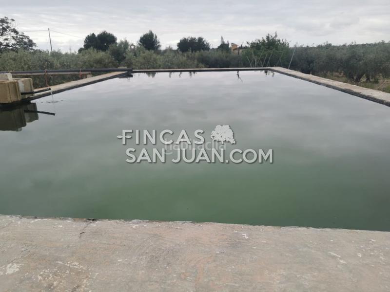 Foto 0bc12852-d67a-4214-aa8d-0986c7ad6989. Masía finca rúst. en venta . en La Huerta Mutxamel