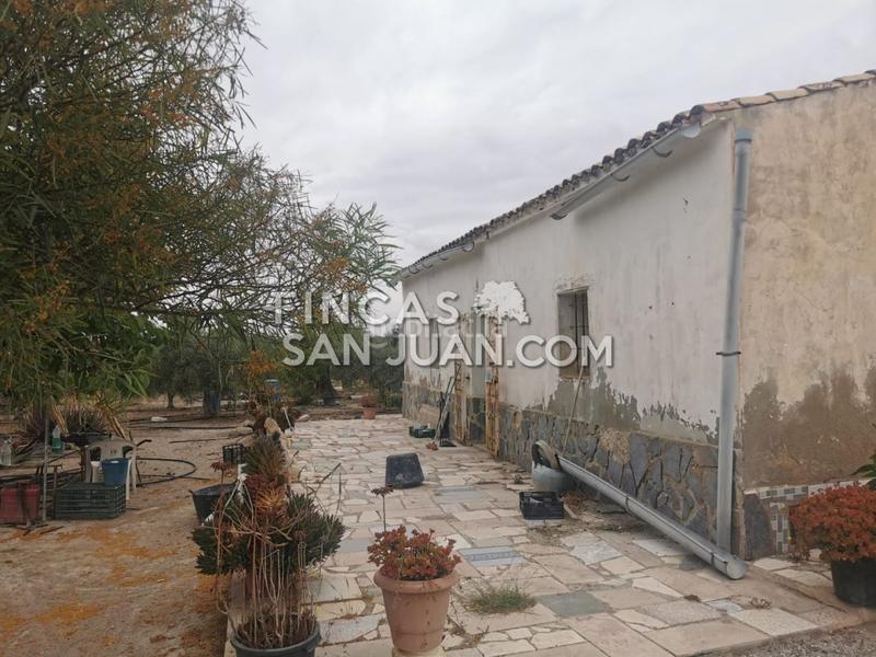 Foto 0cefaa00-b442-4ac1-8b0f-1c581f82960a. Masía finca rúst. en venta . en La Huerta Mutxamel