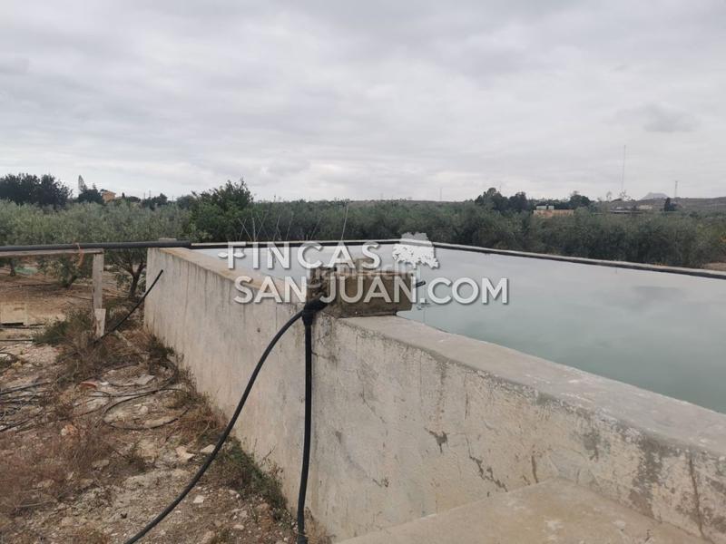 Foto 634b4e70-aa78-4b47-b1d8-66ec5f25f4ff. Masía finca rúst. en venta . en La Huerta Mutxamel