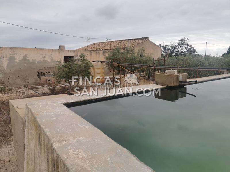 Foto a98185d4-485f-44a0-9d8a-2a829bdc31fd. Masía finca rúst. en venta . en La Huerta Mutxamel