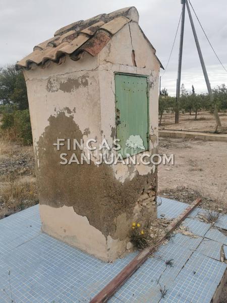 Foto c157e132-6b52-4239-97c8-a127bd9fbb8c. Masía finca rúst. en venta . en La Huerta Mutxamel