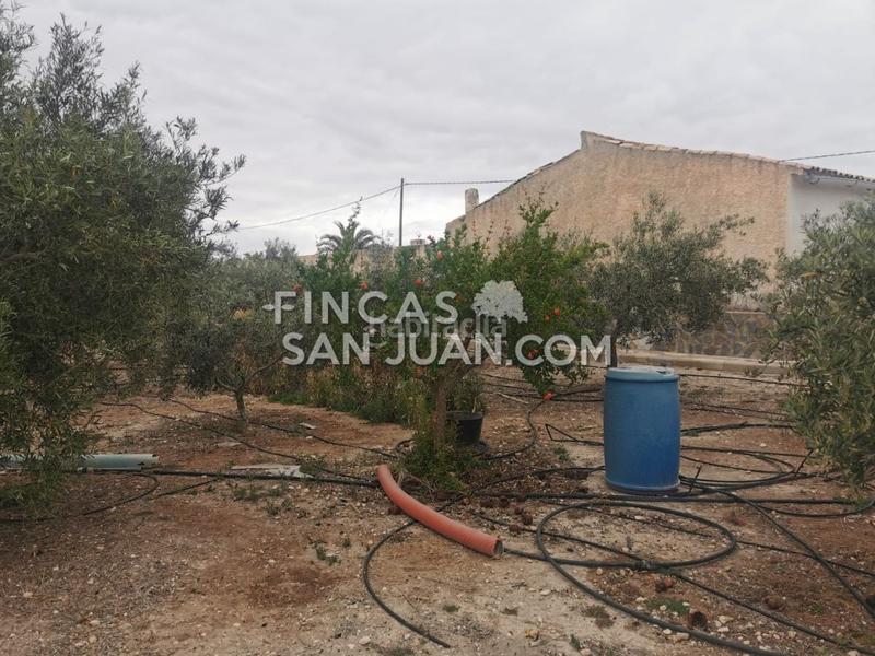 Foto f0d38c61-fb0a-4369-a23f-90e814ad6d11. Masía finca rúst. en venta . en La Huerta Mutxamel