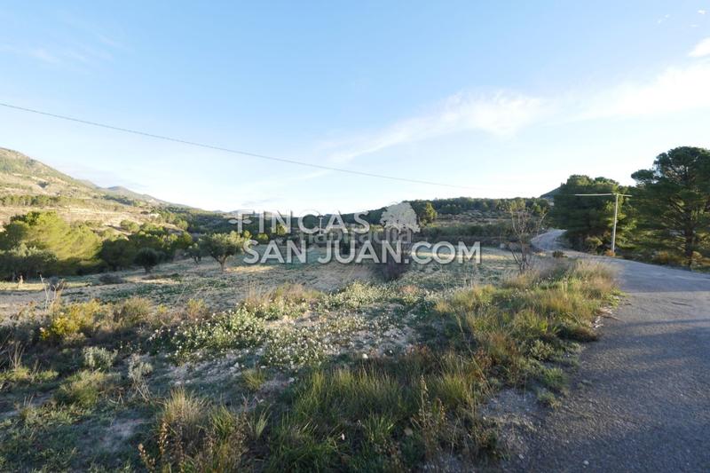 Foto 24076e53-af00-42bb-8c06-da4e281a2439. Terreno residenziale in Torre de les Maçanes (la)