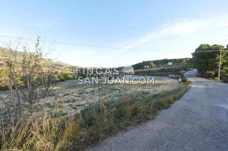 Foto 270c9410-a204-4d77-b1f4-55401bb8cdee. Terreno residenziale in Torre de les Maçanes (la)