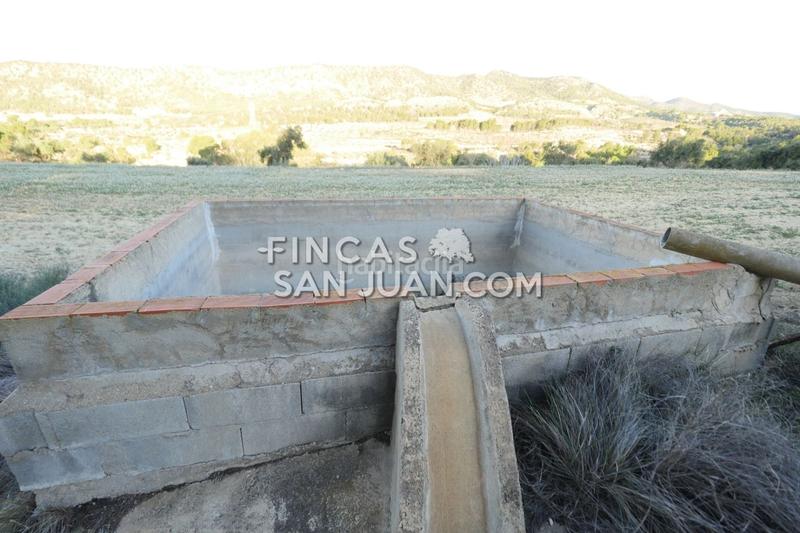 Foto 2c48be55-e0e2-4ecb-a9fa-8f5049f4052b. Terreno residenziale in Torre de les Maçanes (la)