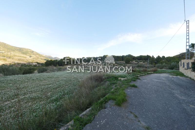 Foto 3f9d4e71-dd50-485e-b15a-e15e4494f0da. Terreno residenziale in Torre de les Maçanes (la)