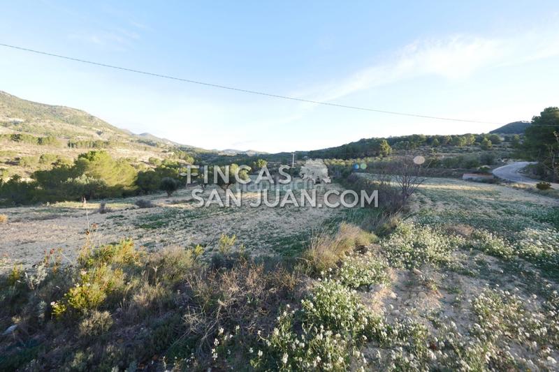 Foto 65cfe4f2-a2b8-4c79-8554-387ddda5486c. Terreno residenziale in Torre de les Maçanes (la)