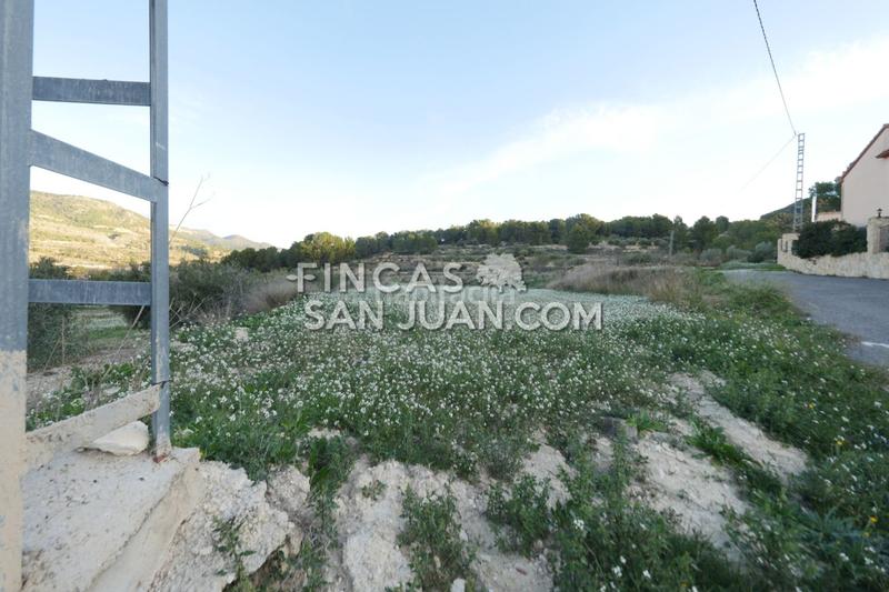 Foto 6677e986-80e0-4267-89eb-6c4416b1e031. Terreno residenziale in Torre de les Maçanes (la)