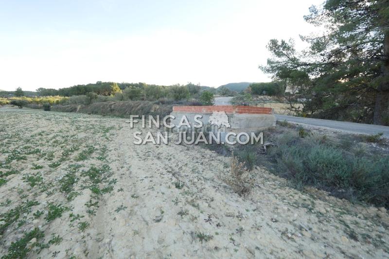 Foto 790514c6-23df-4548-9f8a-616dbe4ecb3d. Terreno residenziale in Torre de les Maçanes (la)