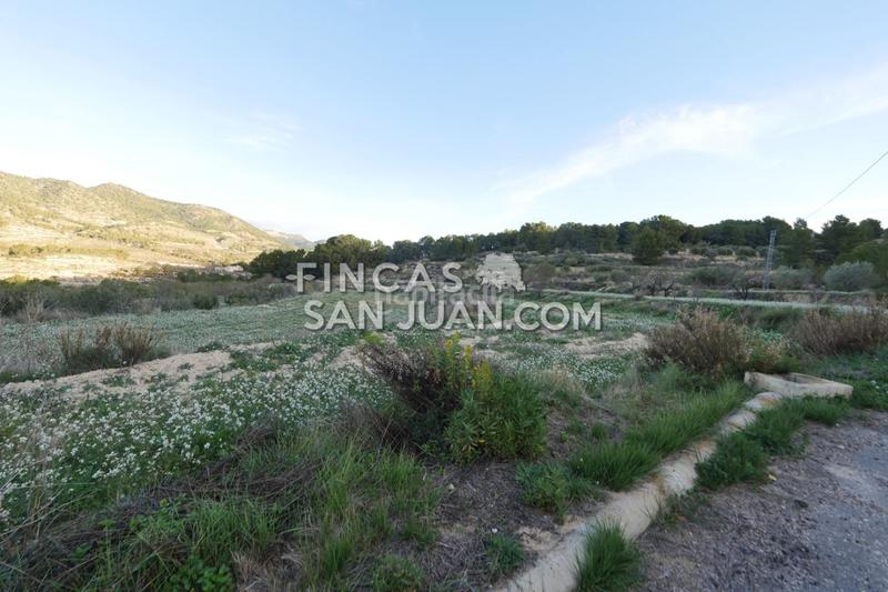 Foto 8ddc9bd5-fcb8-4ce9-a494-933edfbe0c6f. Terreno residenziale in Torre de les Maçanes (la)