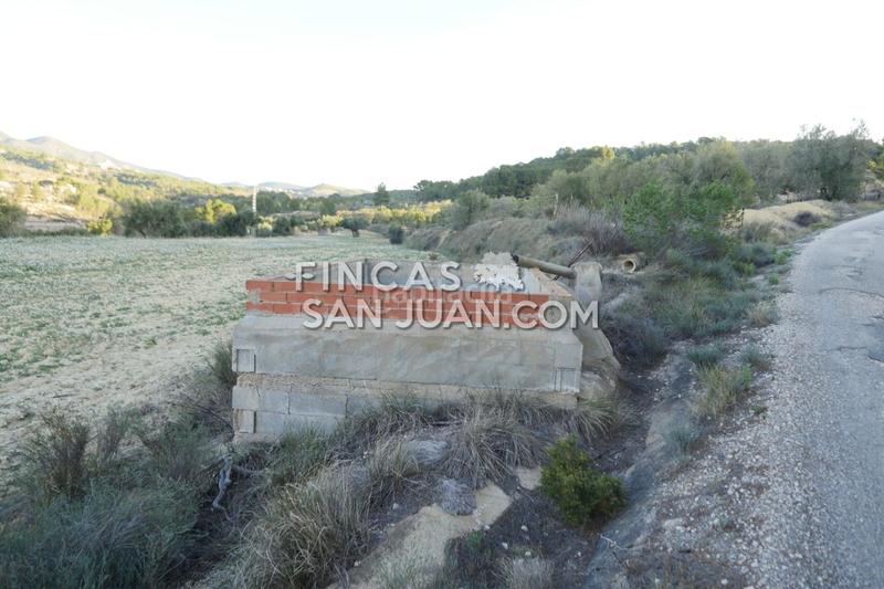 Foto 9129031a-0b2c-44a4-989d-d9029ec3b145. Terreno residenziale in Torre de les Maçanes (la)