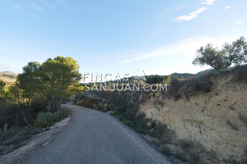 Foto 968d4660-d521-4b31-b89d-03c0d0a78cba. Terreno residenziale in Torre de les Maçanes (la)